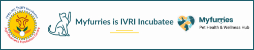 IVRI Incubator BANNER