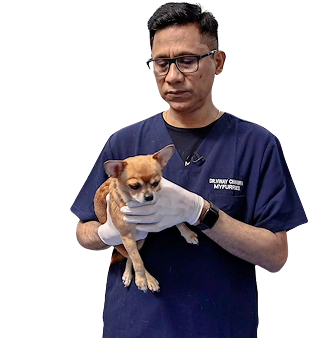 Veterinarian